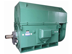 罗平Y系列6KV高压电机